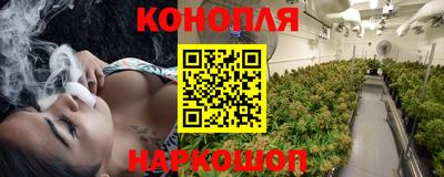 сатива Кандалакша