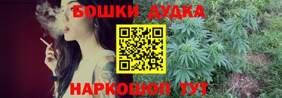 сатива Кандалакша