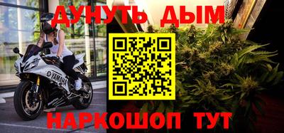 сатива Кандалакша