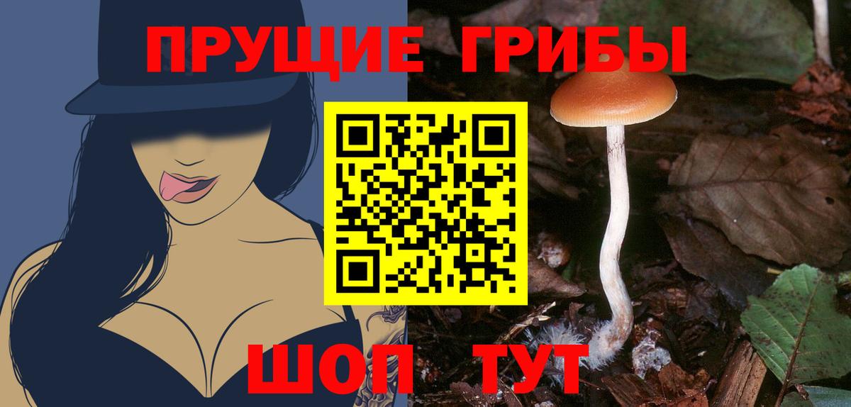 Галлюциногенные грибы MAGIC MUSHROOMS Комсомольск-на-Амуре